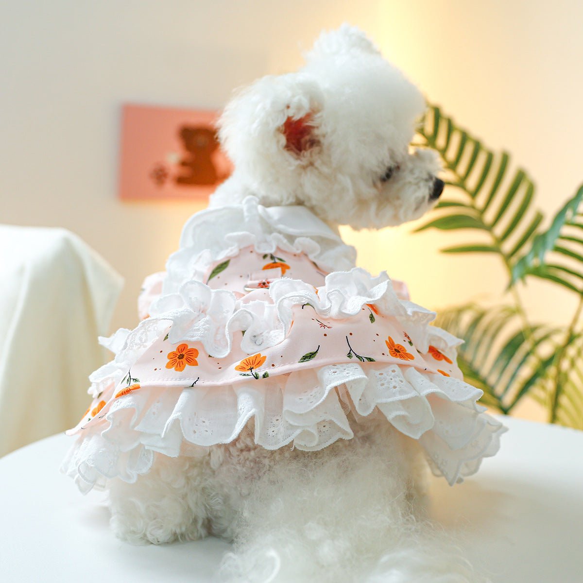 Flower Lace Decor Dog Cat Dress Harness