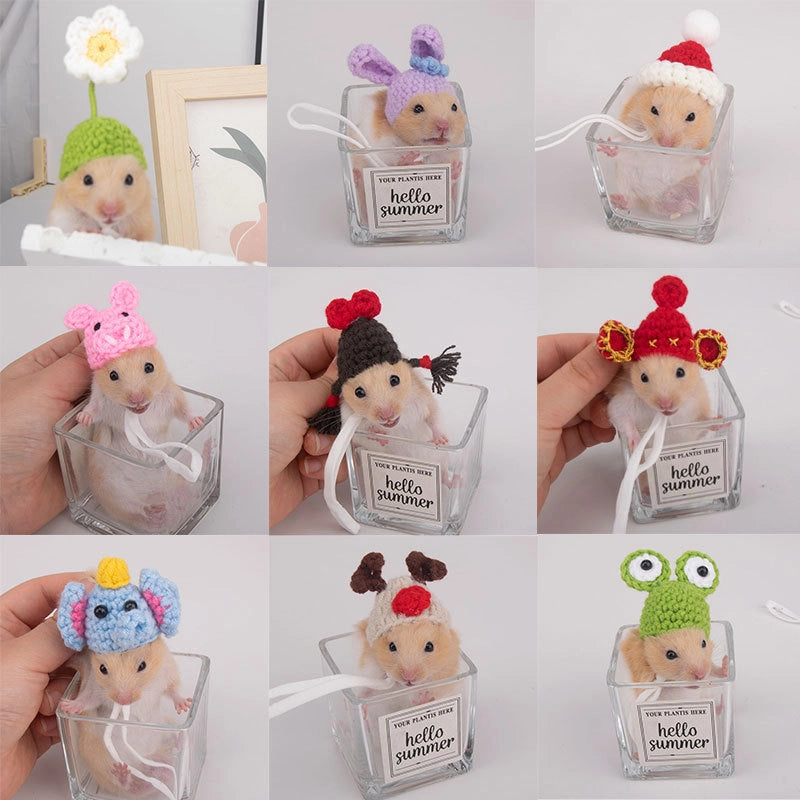Hamster Hat Parrot Hair Band Photo Small Animal Headdress Handmade Frog Hat Ornaments Hedgehog Headgear Explosions