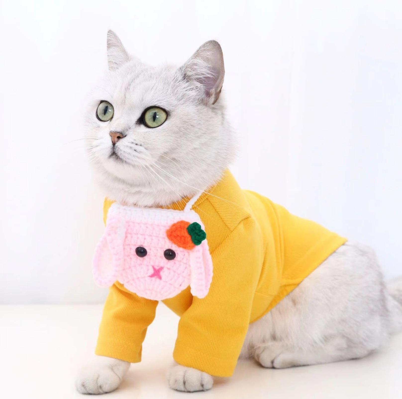 Knitted Cartoon Pet Self-Carrying Pack Style Accessory