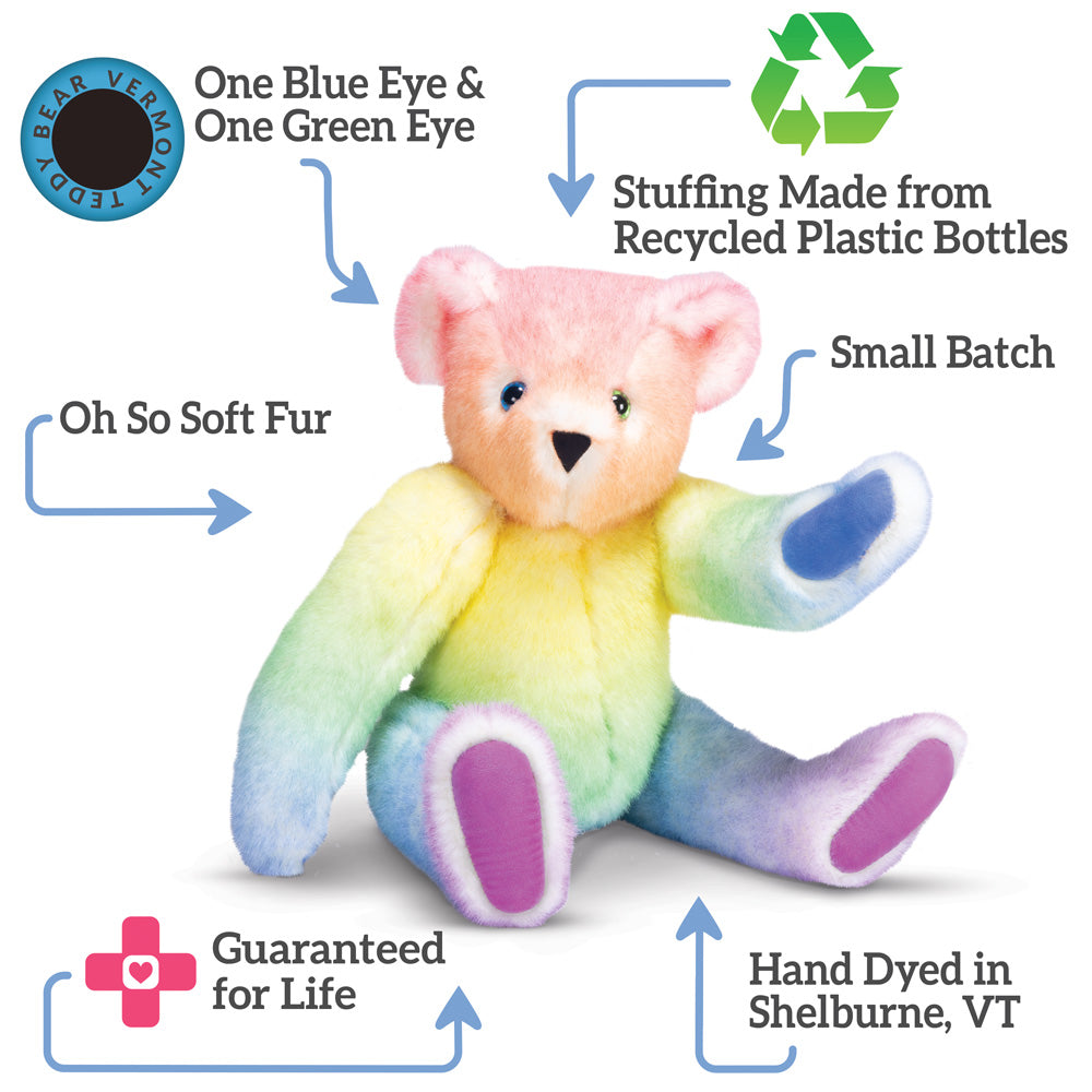 15 In. Special Edition Rainbow Bear