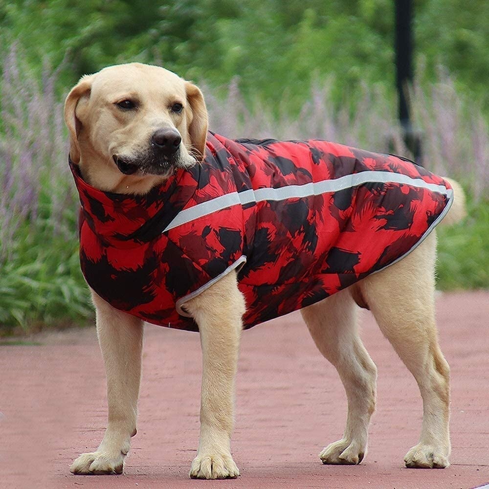 (🎅Hot SALE - 49% OFF) 🐕Hundejacke🐶