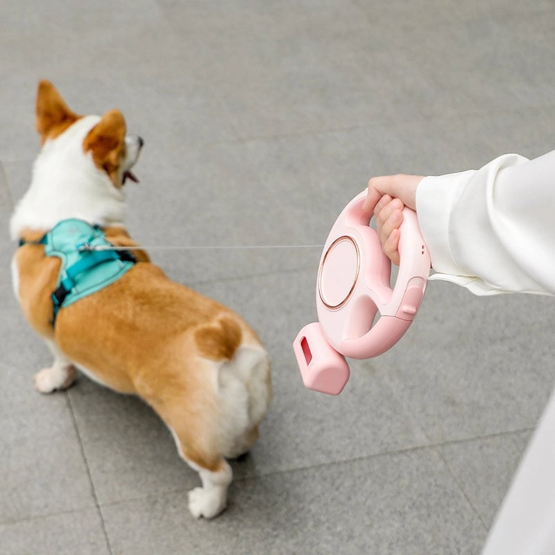 Minimalist ABS Solid Color Leash