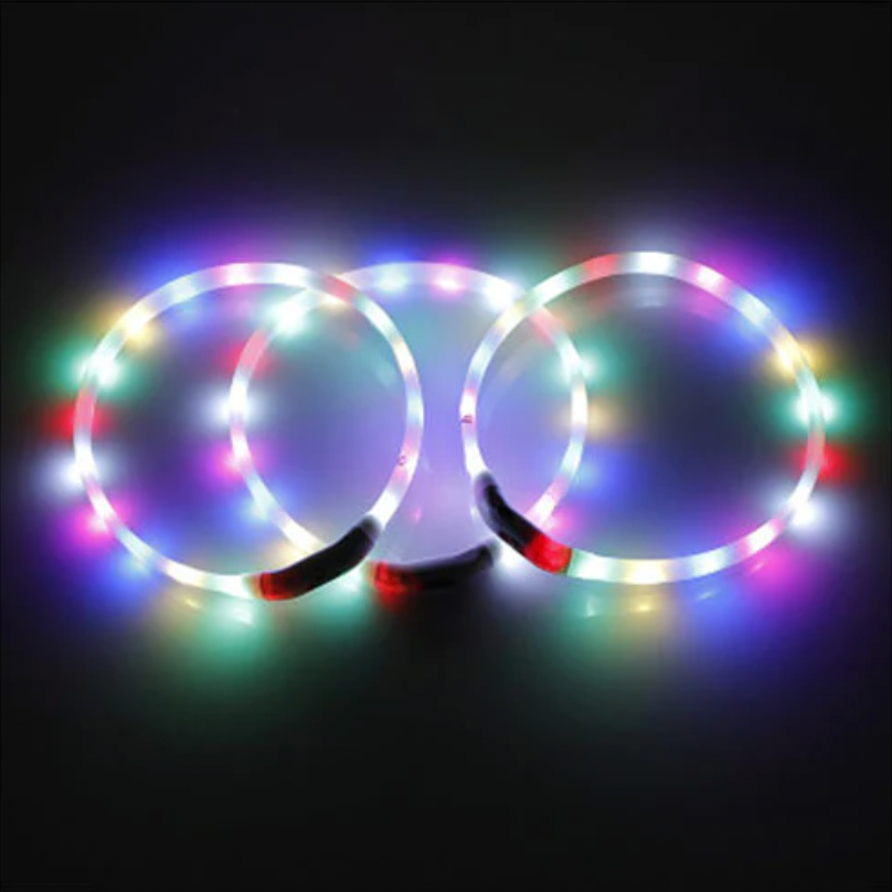 2x LED Rechargeable Flashing Dog Collars