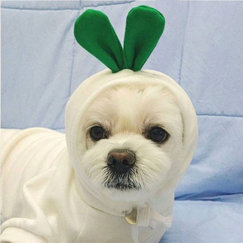 Costume Jacket For French Bulldog