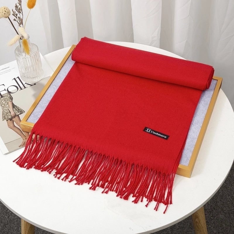 Women's Minimalist Solid Color Imitation Cashmere Tassel Scarf