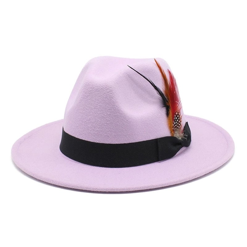 Bow Feather Top Hat Autumn And Winter Big Brim Hat Fashionable Men's And Women's Cashmere Felt Hat Style New Hats