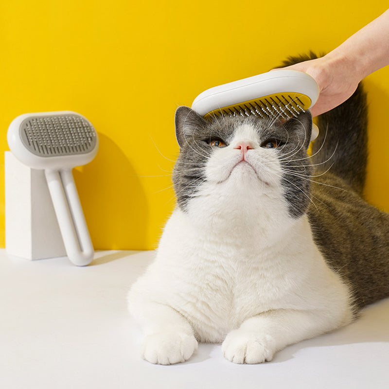 Pet Combs Hair Removal Brush