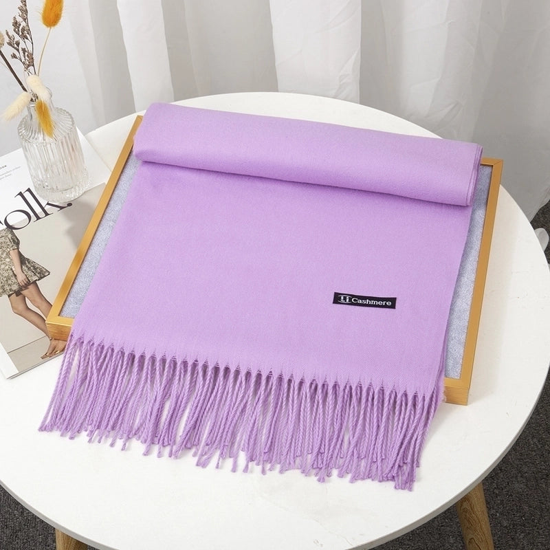 Women's Minimalist Solid Color Imitation Cashmere Tassel Scarf