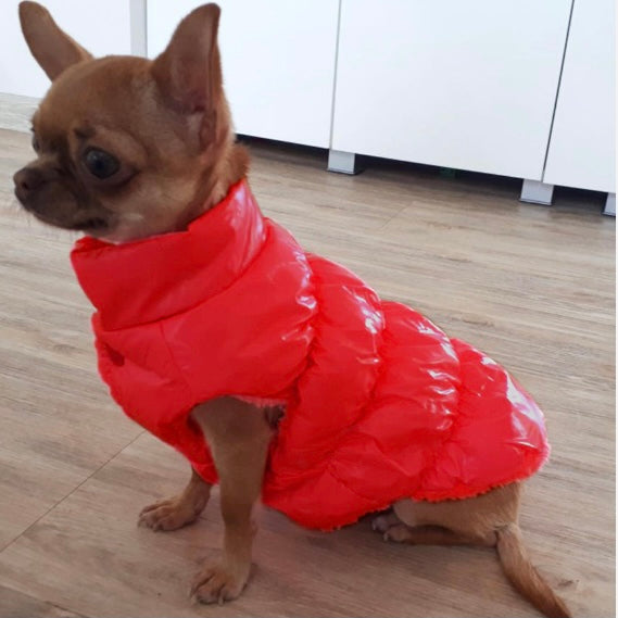 Cotton Padded Puppy Vest Jacket