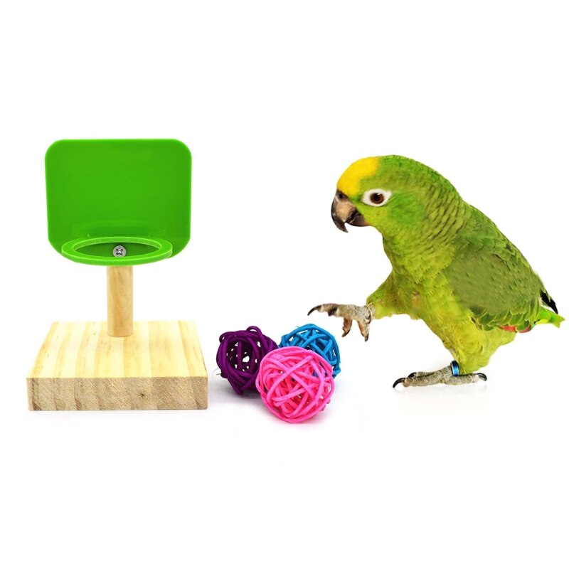 Birds Training Toy Set