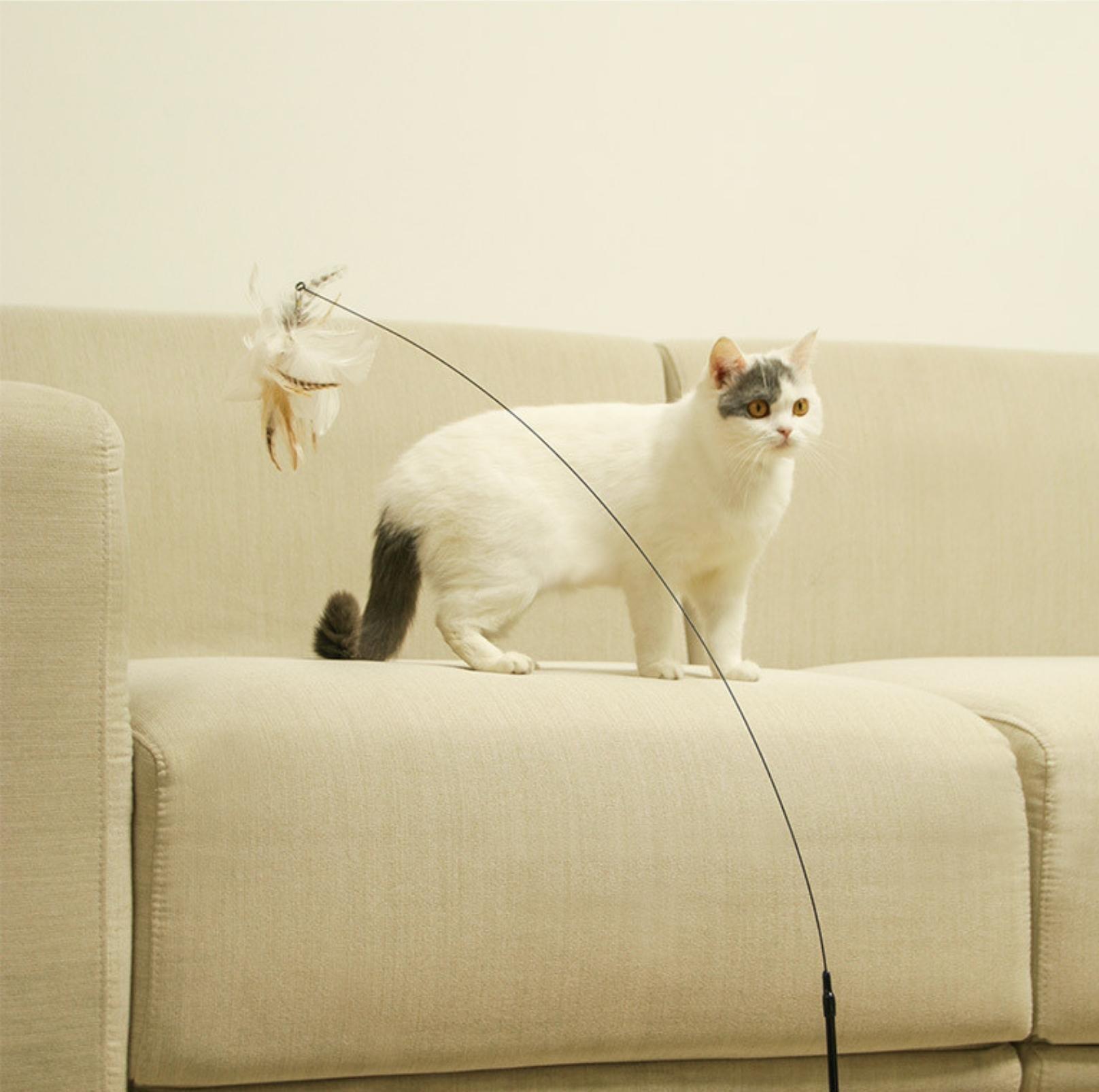 Free Your Hands: Extended Elastic Wire Cat Stick Teaser Cat Toys