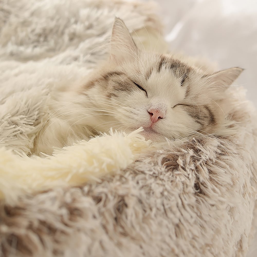 🔥Cat Plush Bed