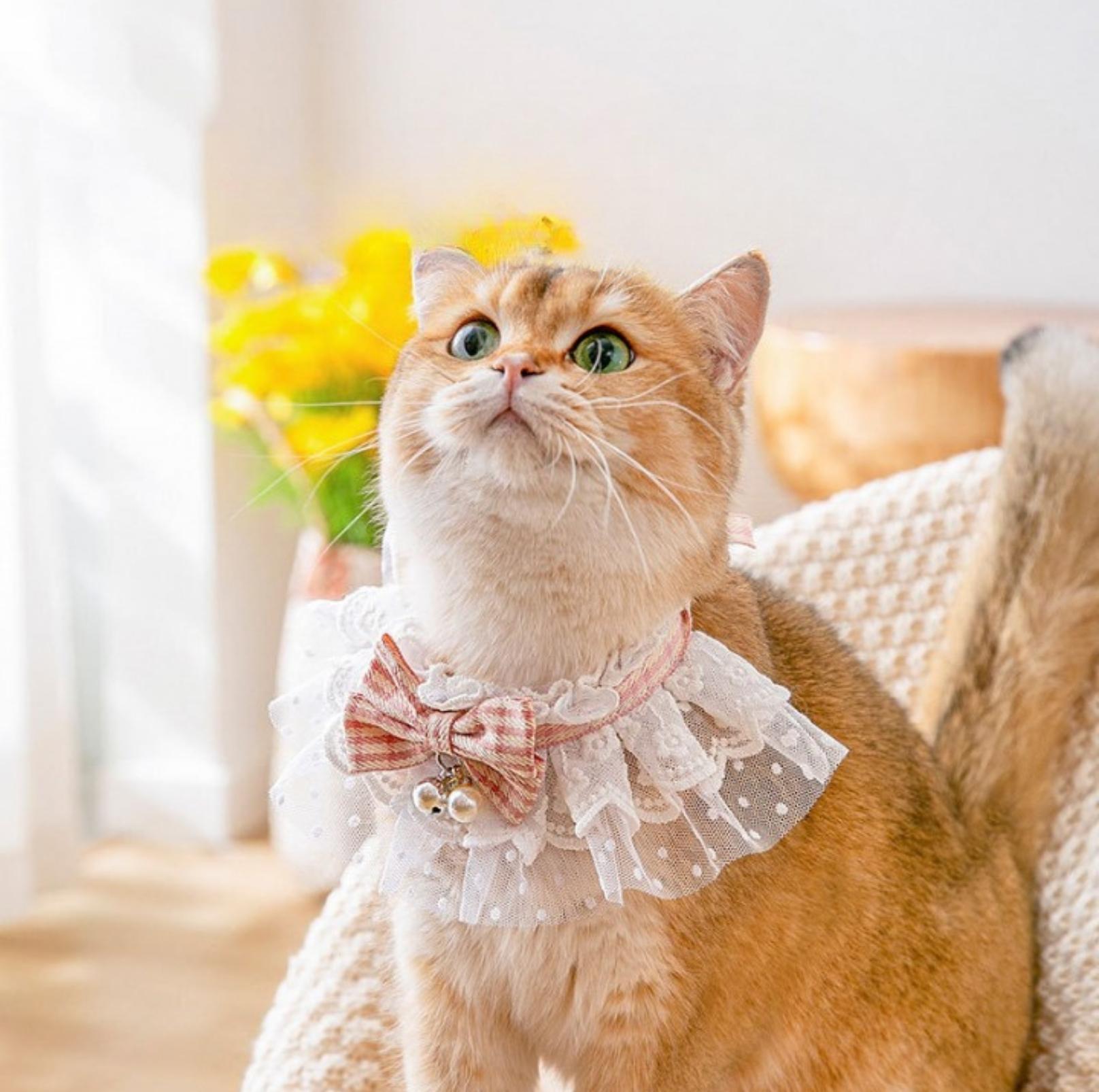 Lace-Decorated Plaid Bowtie Pet Bib with Bell