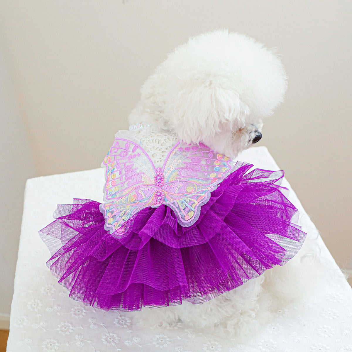 Colorful Butterfly Layered Dog Cat Lace Dress