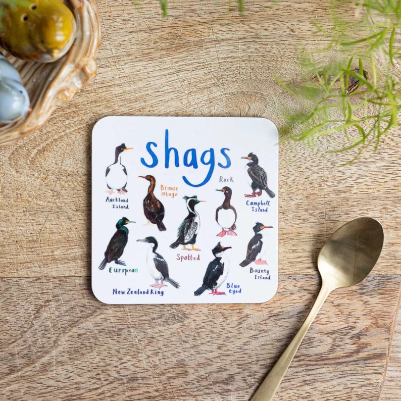 🐦Set of 6 Bird Pun Coasters