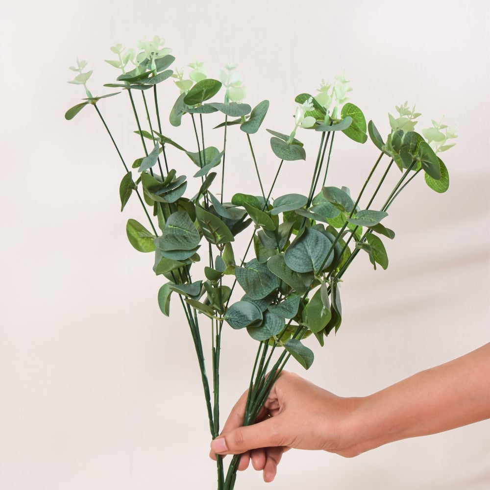 Eucalyptus Leaves