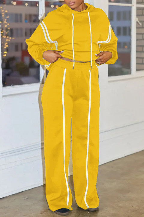 Casual Sportswear Daily Solid Color Draw String Hooded Long Sleeve Two Pieces