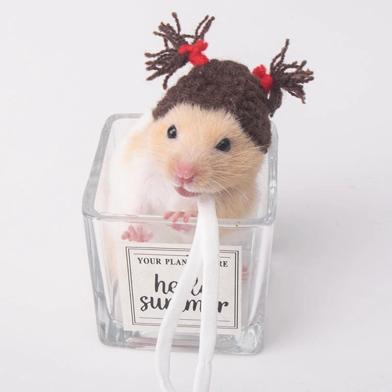 Hamster Hat Parrot Hair Band Photo Small Animal Headdress Handmade Frog Hat Ornaments Hedgehog Headgear Explosions