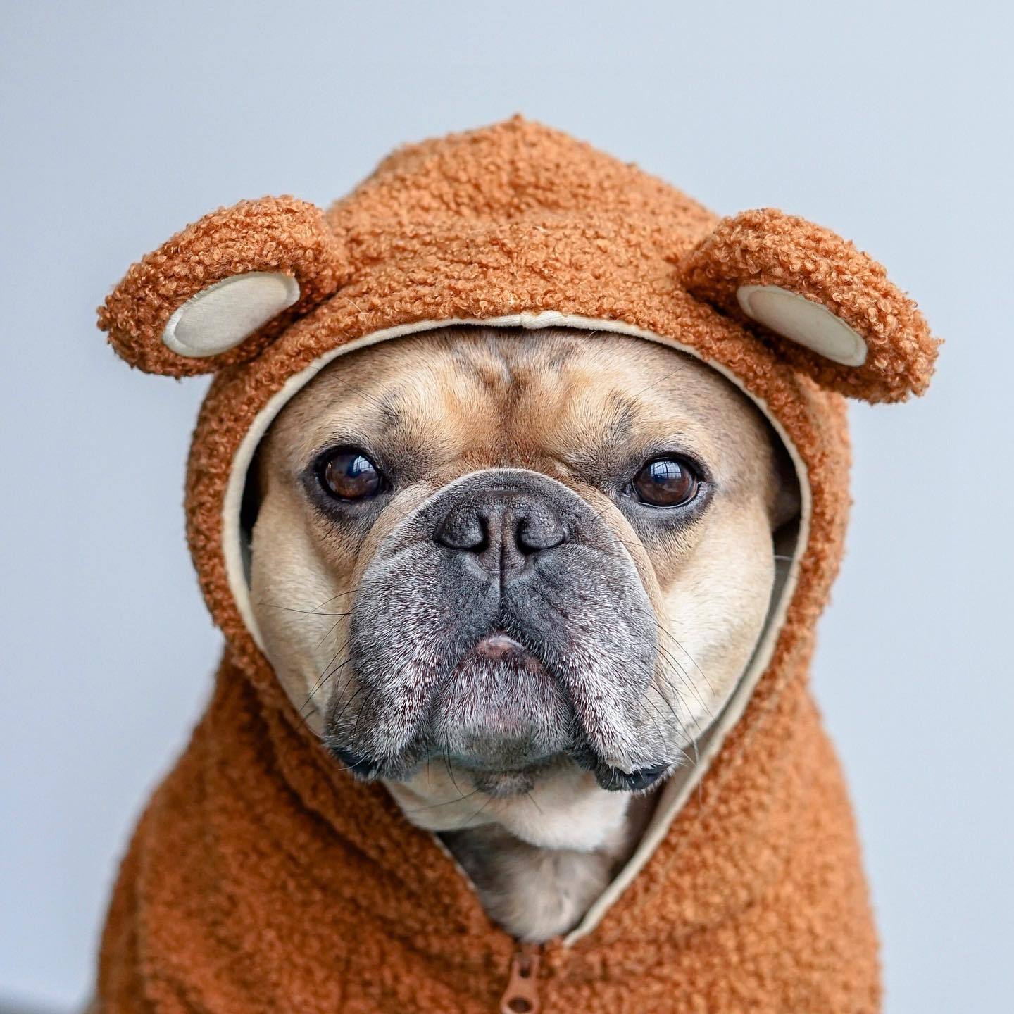 Fleece-Lined Warm Ear-Standing Dog Sweater - Stylish Pet Hoodie