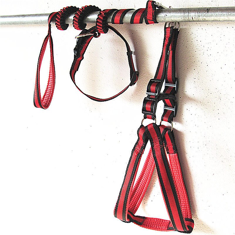 Bungee Dog Harness Leash