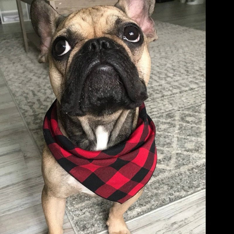 Pet Classic Plaid Triangle Slippery Towel Small Medium Dogs And Cats For Autumn And Winter Velvet Scarf