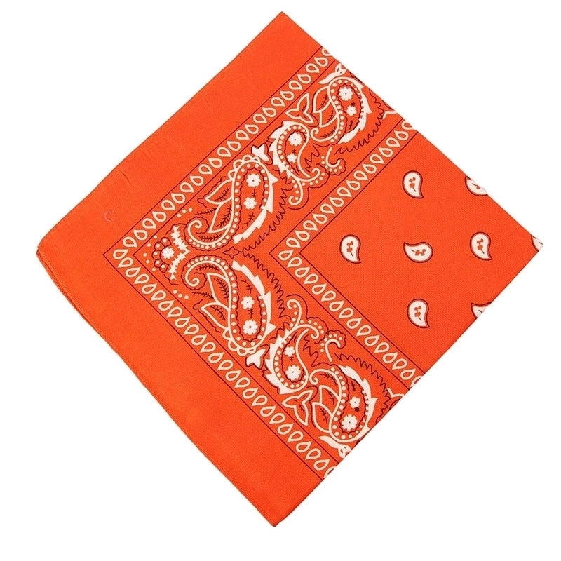 Unisex Hip-Hop Paisley Polyester Bandanas