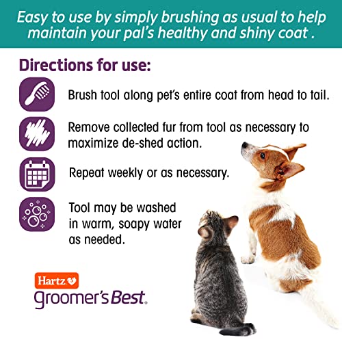 HARTZ. Groomer's Best Small Slicker Brush for Cats and Small Dogs. Black/Violet. 1 Count