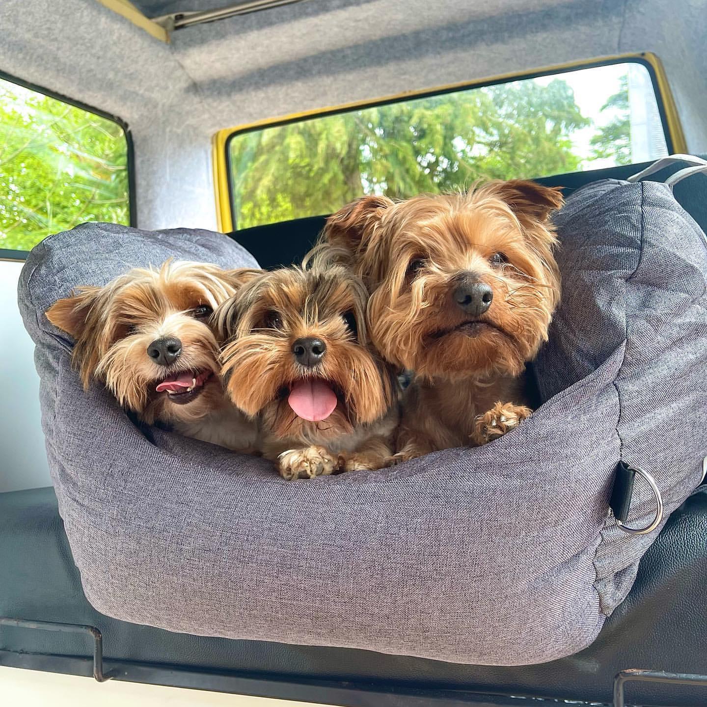 JetPaws Portable Dog Bed