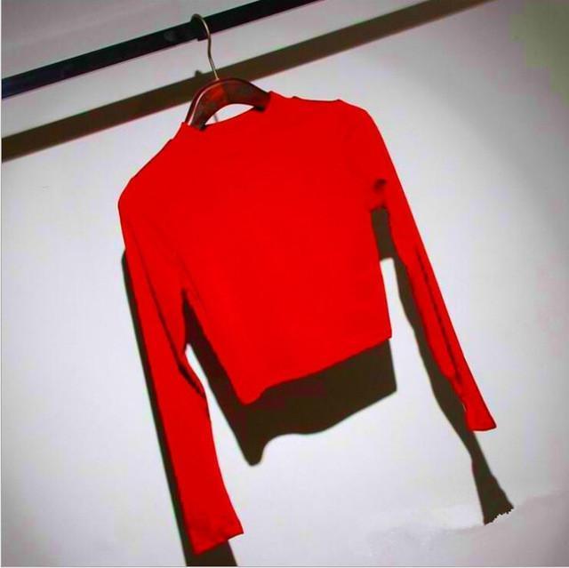 Slim Soft Elastic Turtleneck Crop Top