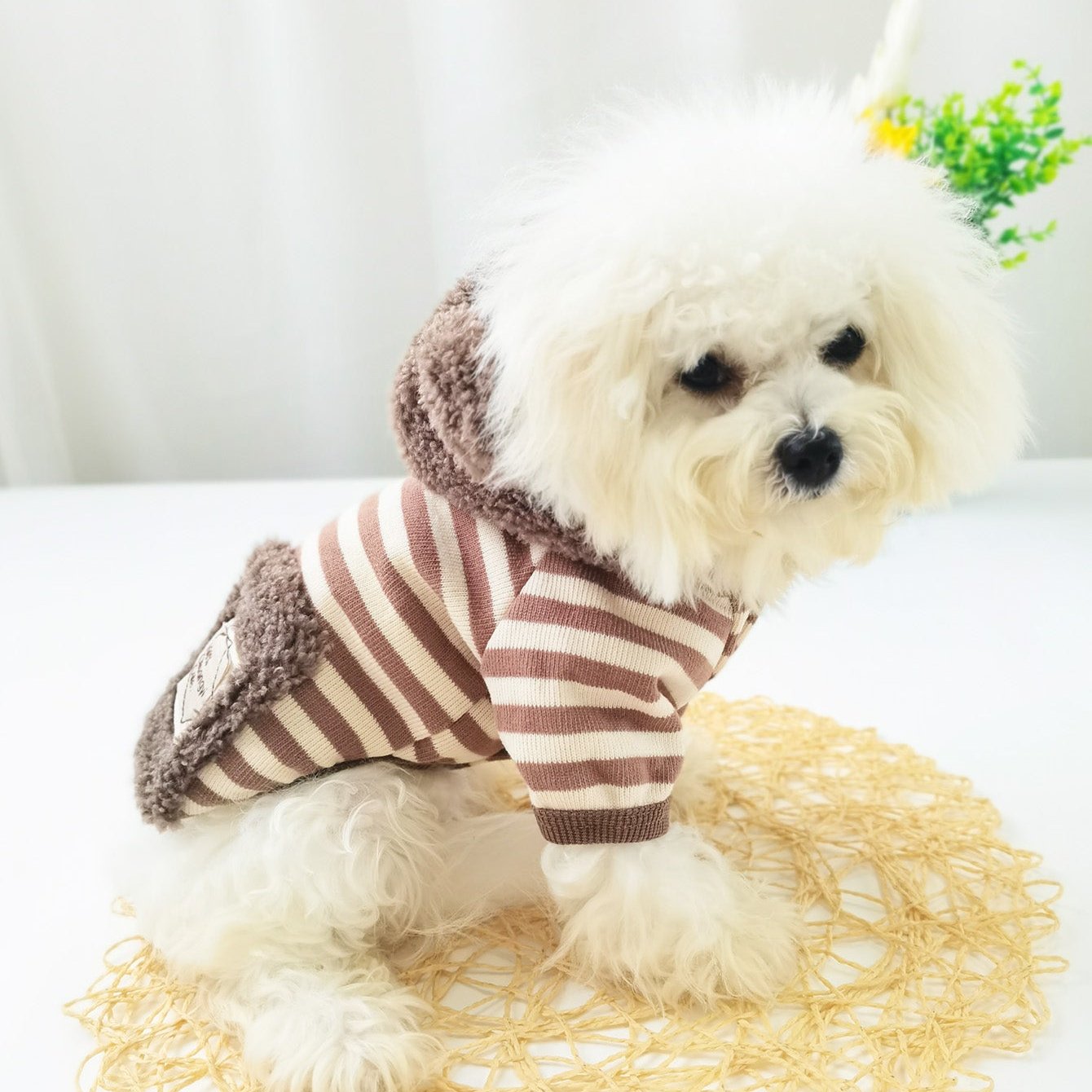 Striped Fleece Pocket Dog Cat Hooded Jacket Harness