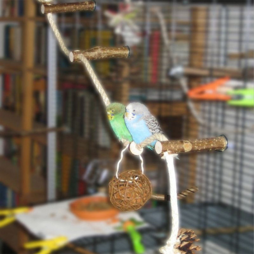 Pet Parrot Climbing Stand