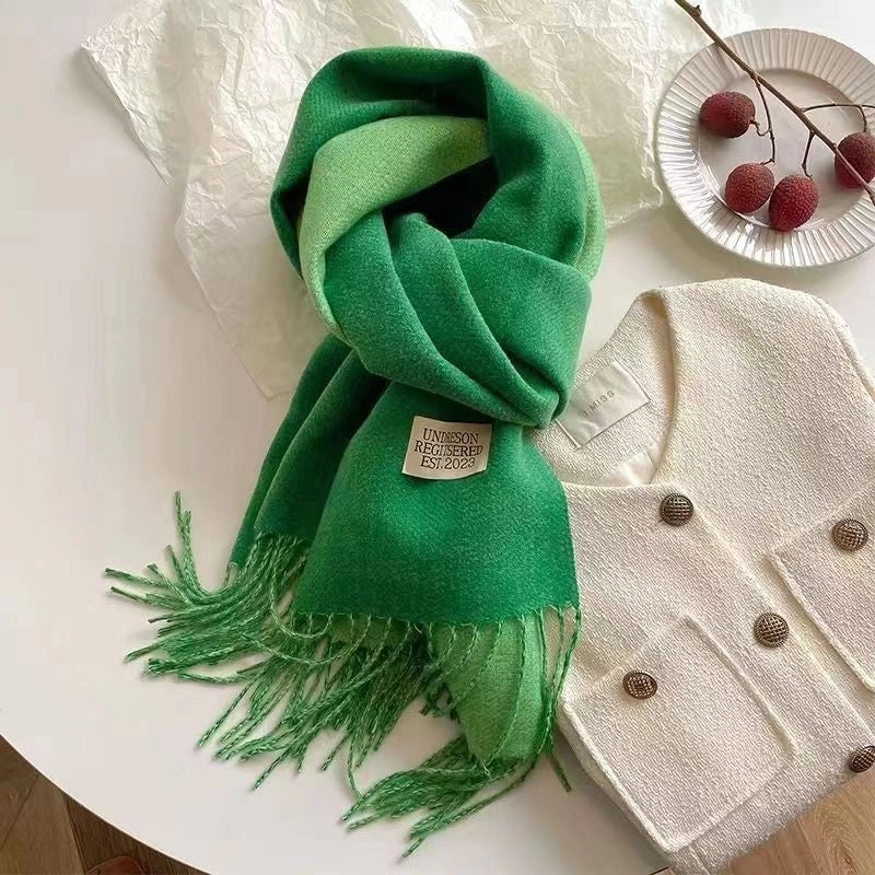 New Autumn And Winter New Pure Color Cashmere-like Double-sided Tassel Scarf Female Thickened Student Dual-use Shawl Fashion
