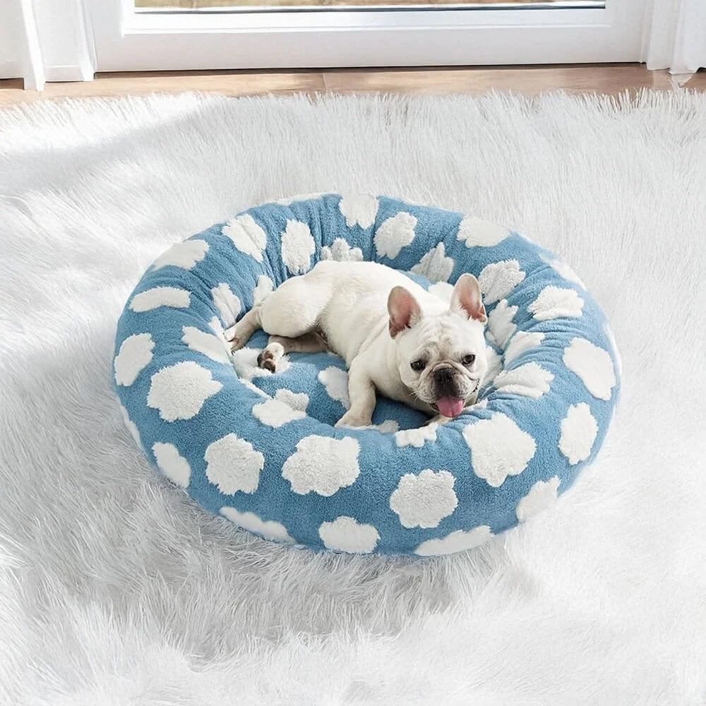 Floral Checkerboard Pet Bed