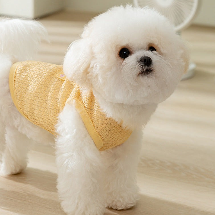 Breathable Bear Printed Dog Harness Vest