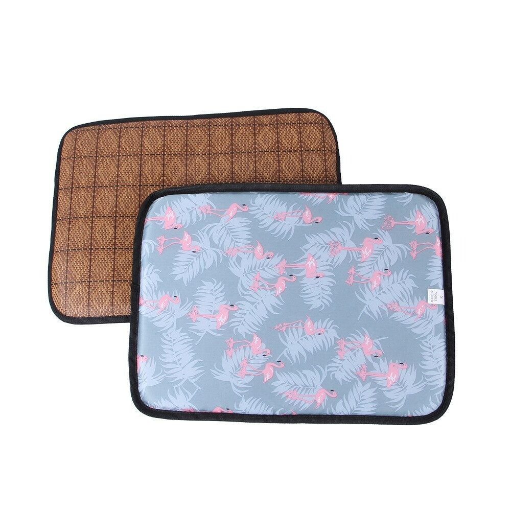 Double Sided Pet Mat