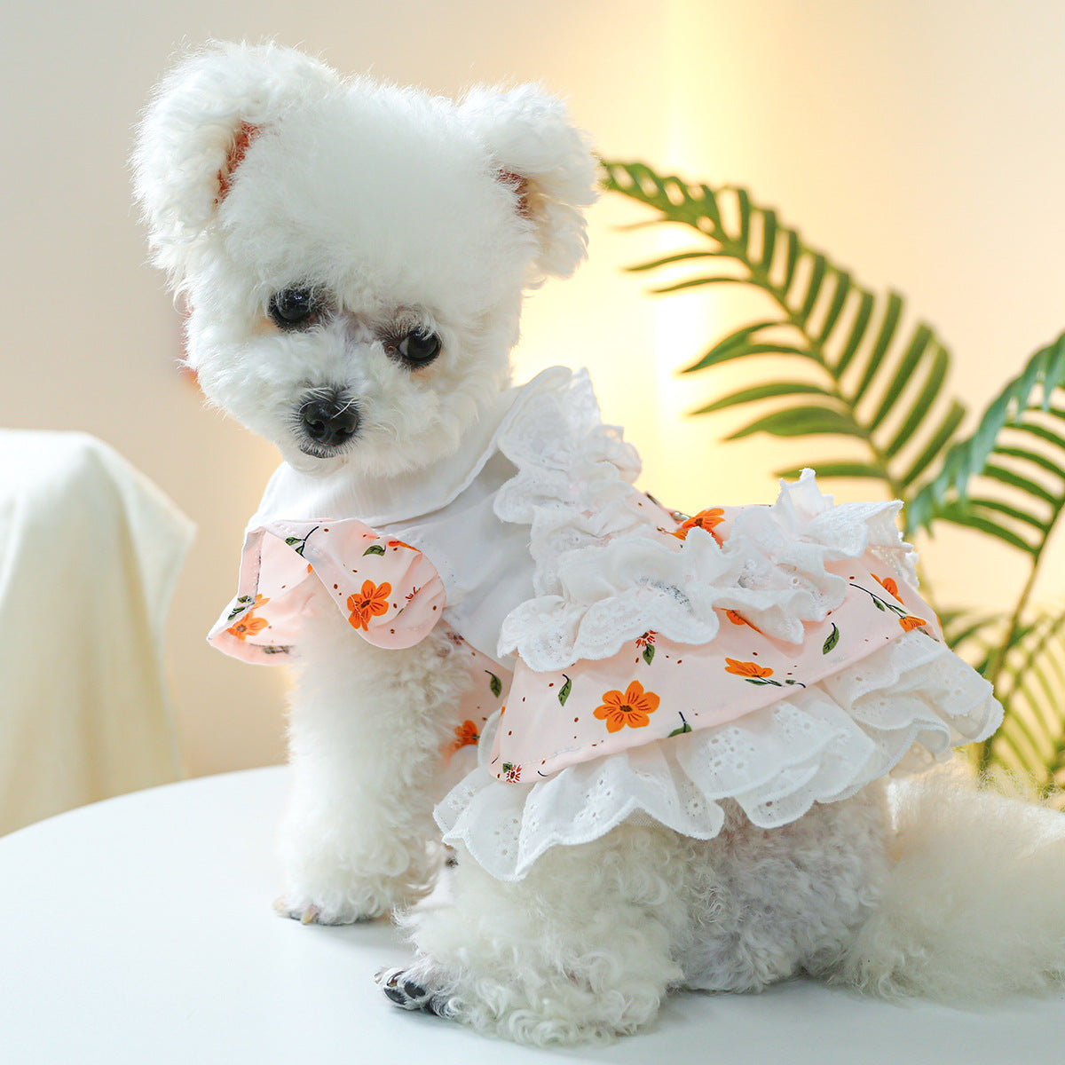 Flower Lace Decor Dog Cat Dress Harness