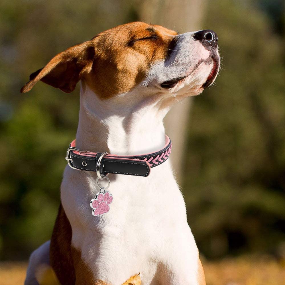 Personalized Dog ID Tags