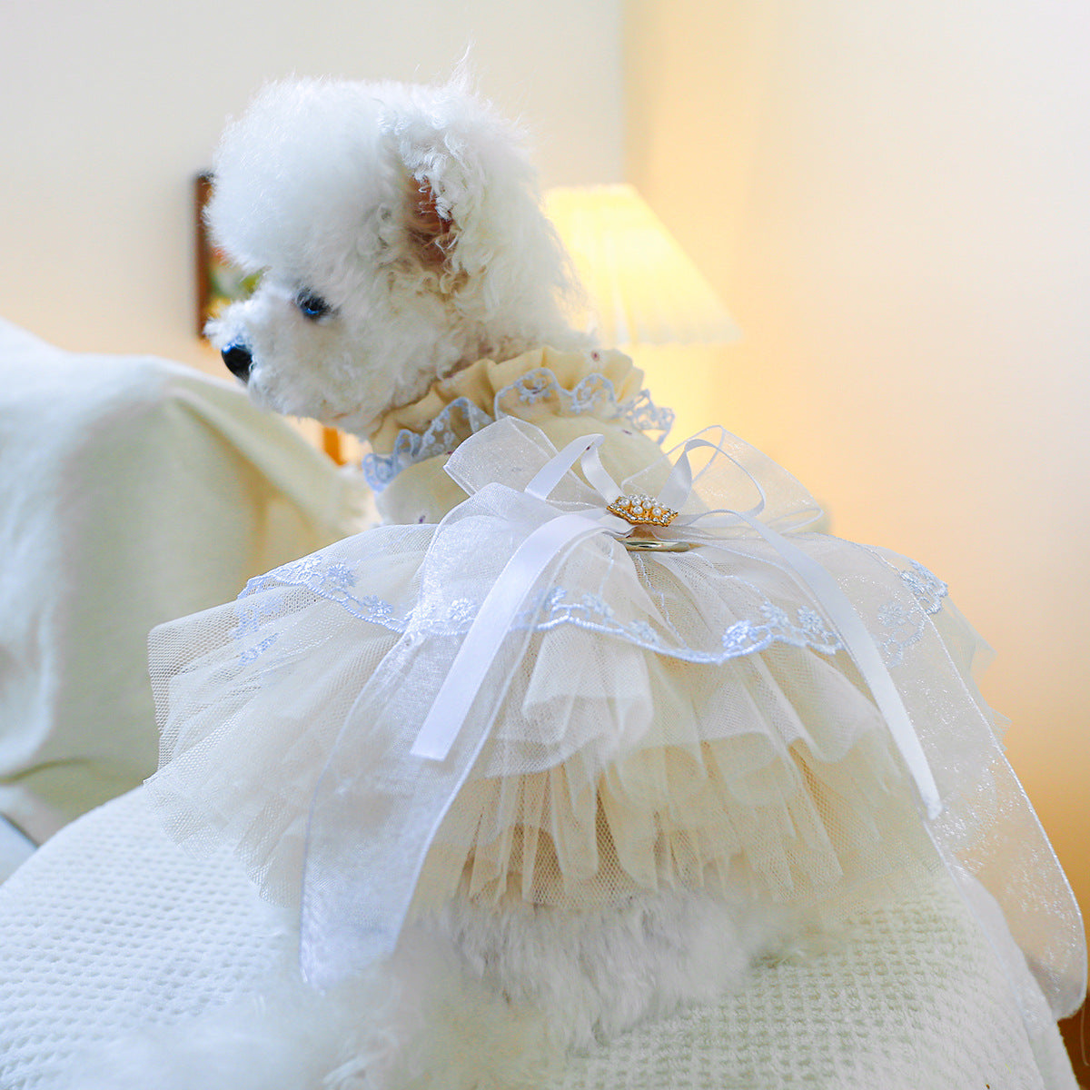 Lace Dog Cat Princess Wedding Dress