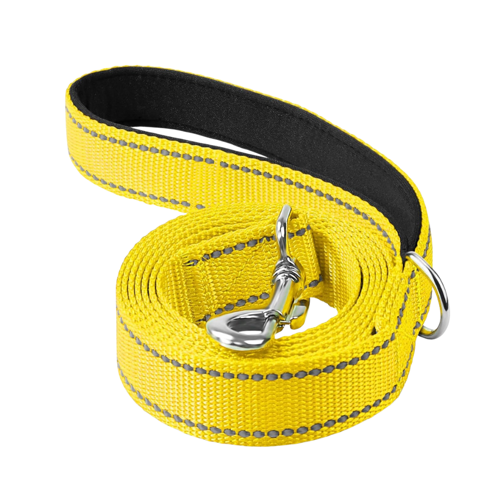 Double Sided Reflective Dog Leash
