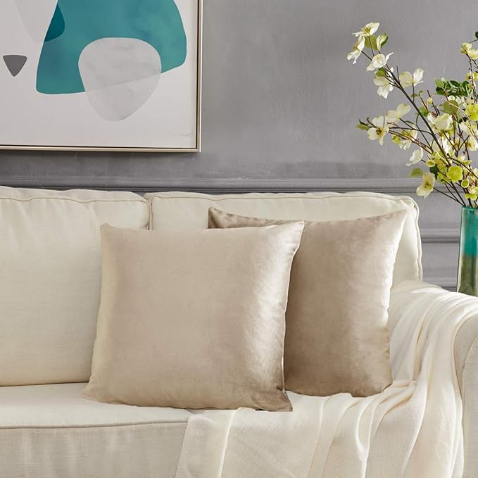 Beige-Velvet Cushion Covers