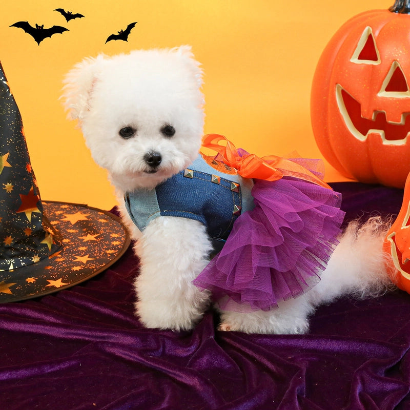 Casual Polyester Halloween Color Block Pet Clothing