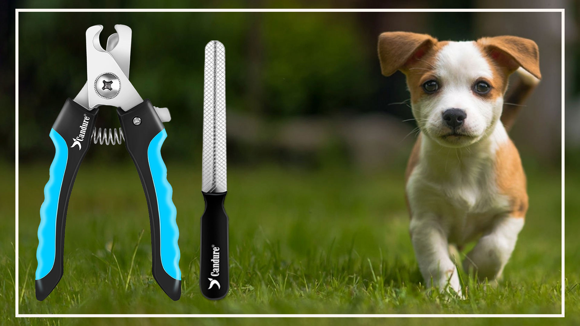 Candure Dog Nail Clippers Professional Pet Nail Clipper Suitable for Large to Medium Dogs. Cats. Rabbits and Guinea Pigs - Safety Lock/Protective Guard to Avoid Over Cutting