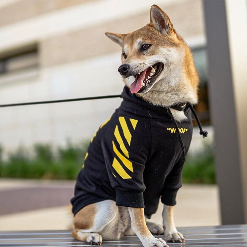 Striped Pattern Dog Hoodie