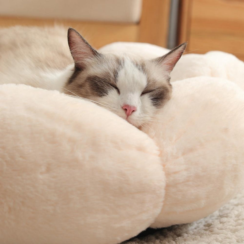 Round Flower Shape Cat Bed