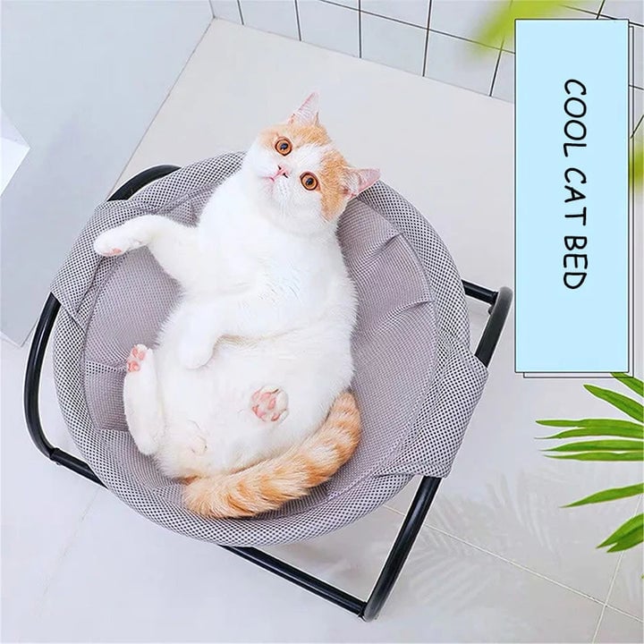 Floor Cat Hammock-With Stand (Buy 2 Free Shipping)