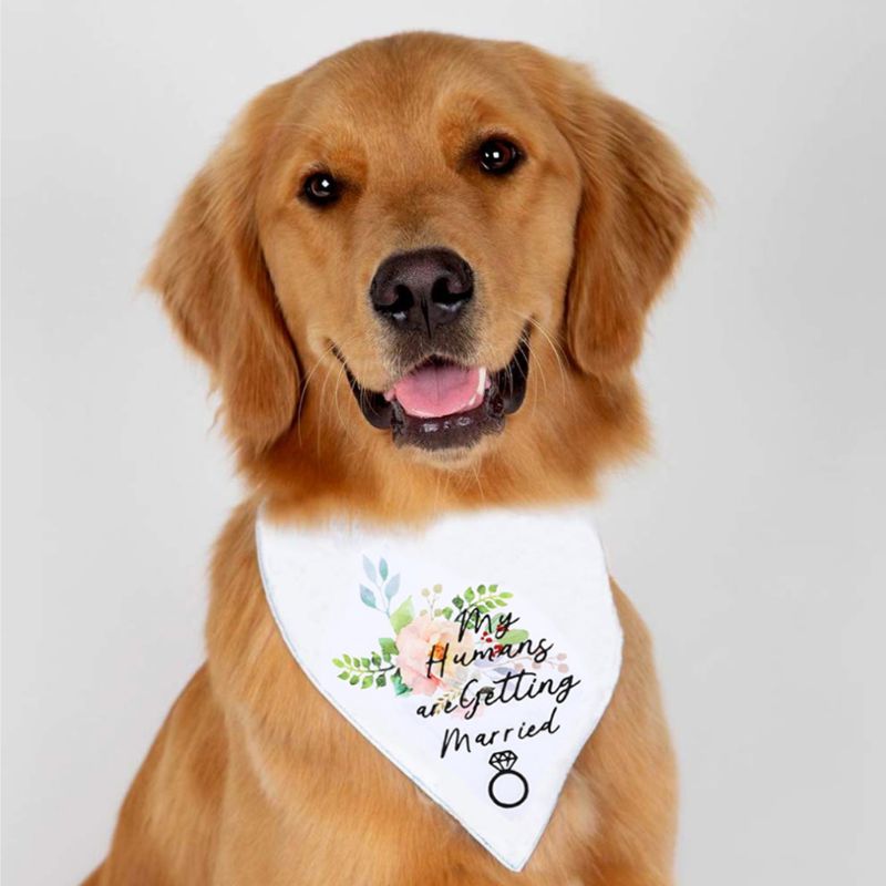 White Dog Bandana