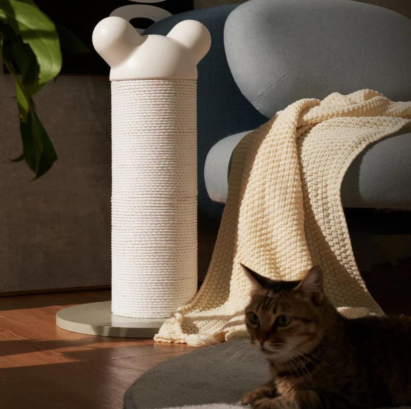 Makesure Nino Cat Scratching Post | Cat Tree