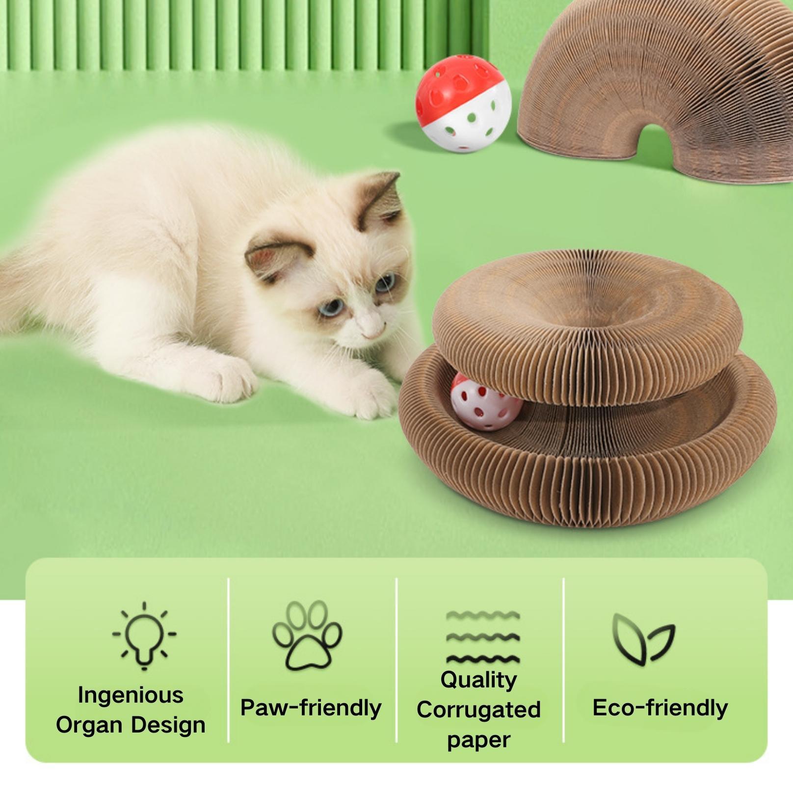 Magic Organ Cat Scratcher | Transformable Toy with Ball