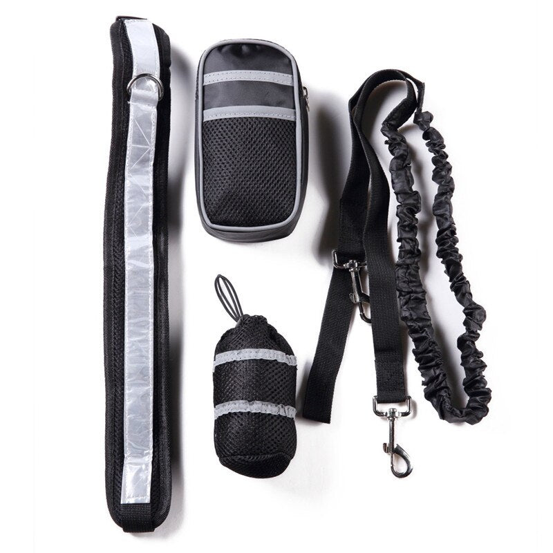 Walking Training Dog Leash Set