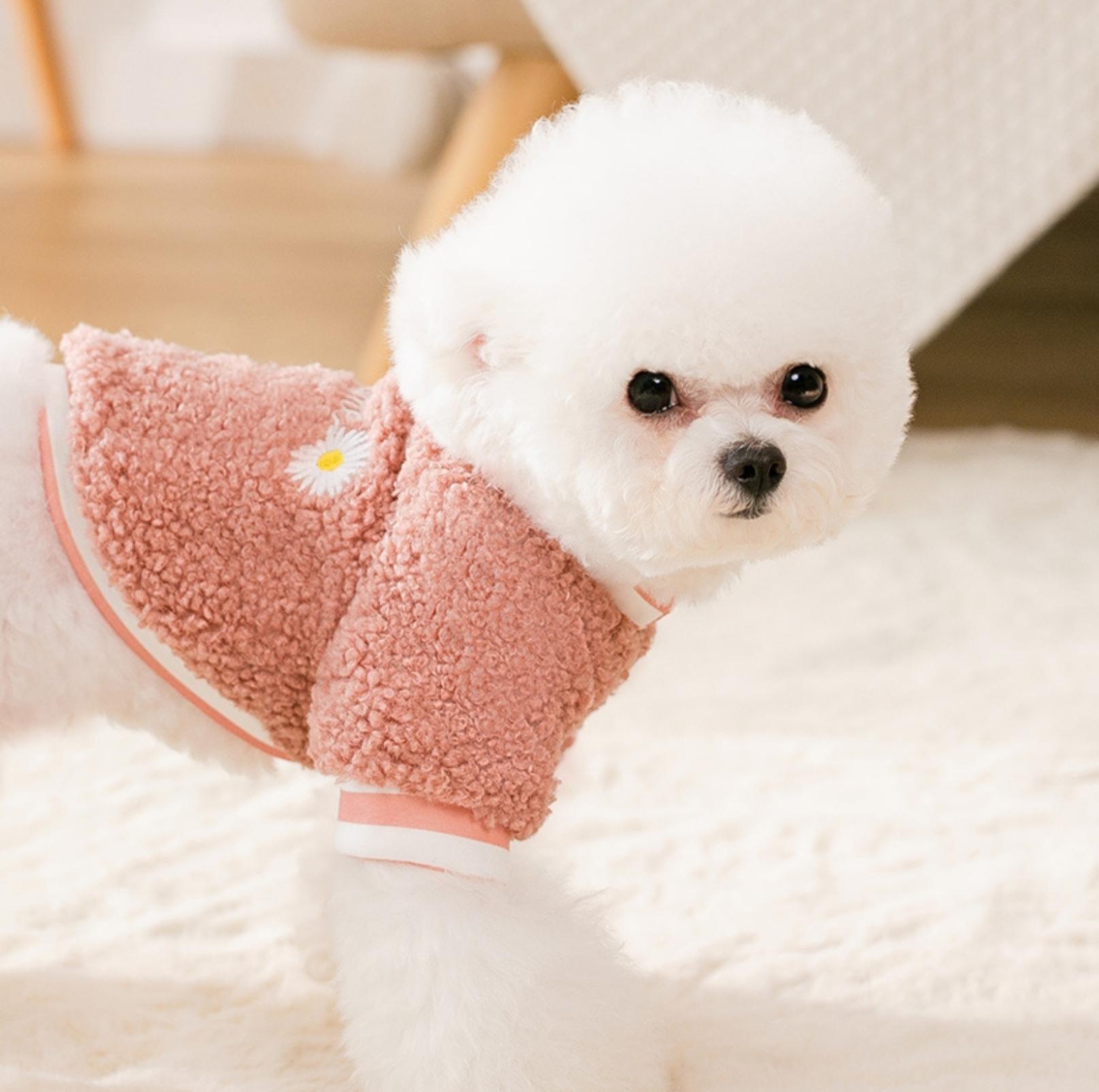 Daisy-Embroidered Wool Fleece Apparel for Dogs and Cats
